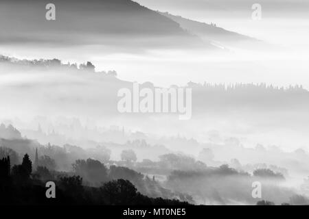 Nebel und Rauch füllen ein Tal, mit verschiedenen Schichten der Bäume ein Stockfoto