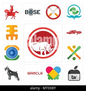 Satz von 13 Einfache editierbare Ikonen wie die Rhino speichern, Apple TV, Autismus, Oracle, Schnauzer, fantasy Baseball, Ashok Chakra, Lowrider, Eee kann verwendet werden Stock Vektor