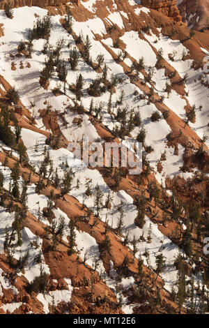 Anhaltende Schnee, Cedar Breaks National Monument, Utah Stockfoto