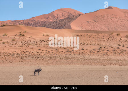 Oryx, Sossusvlei, Namib, Namibia, Afrika Stockfoto