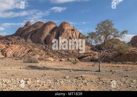 Spitzkoppe, Usakos, Namibia, Afrika Stockfoto