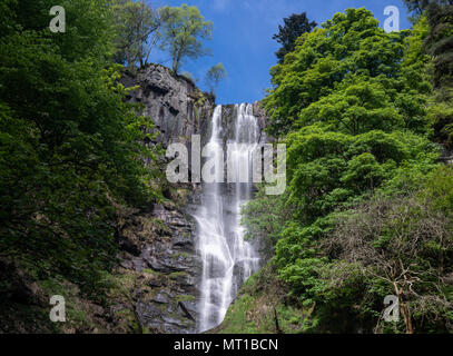 Hoher Wasserfall von Pistyll Rhaeadr in Wales Stockfoto