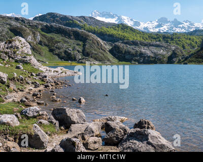 Covadonga Seen. Ercina See im Nationalpark Picos de Europa, Spanien, Asturien. Schnee auf den Gipfeln. Stockfoto