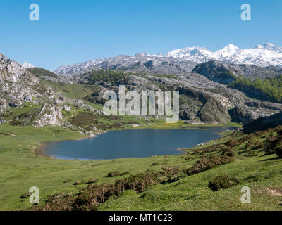 Blick von oben auf die ercina Bergsee in der Nähe von Oviedo, Asturien, Spanien. Frühling in den Bergen und Schnee gipfeln. Stockfoto