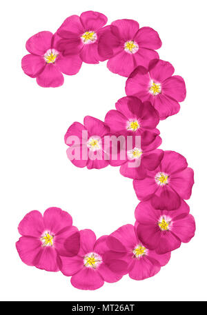 Arabische Zahl 3, Drei, von rosa Blüten von Flachs, auf weißem Hintergrund Stockfoto