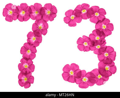 Arabische Zahlen 73, 70 drei, von rosa Blüten von Flachs, auf weißem Hintergrund Stockfoto