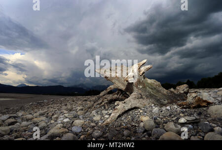 27. Mai 2018, Deutschland, Schwangau: Ein Baum Wurzel ragt aus dem Boden in die Ausgetrockneten Forggensee, mit dunklen Wolken Overhead. Deutschlands größte Reservoir kann derzeit nicht aufgestaut, wegen Wartungsarbeiten auf dem Damm. Foto: Karl-Josef Hildenbrand/dpa Stockfoto