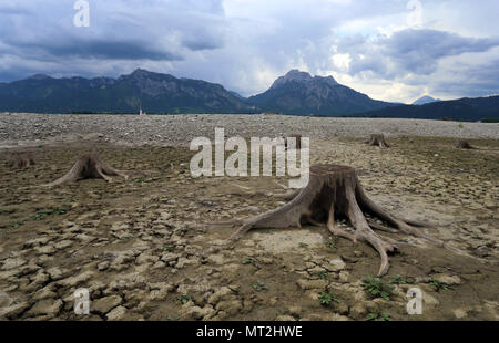 27. Mai 2018, Deutschland, Schwangau: Baumstümpfen in die Risse im Boden des ausgetrockneten Forggensee. Deutschlands größte Reservoir kann derzeit nicht aufgestaut, wegen Wartungsarbeiten auf dem Damm. Foto: Karl-Josef Hildenbrand/dpa Stockfoto