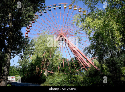 Berlin, Deutschland. 25 Mai, 2018. 25.05.2018, Berlin: Das Riesenrad auf dem Gelände des ehemaligen DDR-Vergnügungspark in der Planterwald. Die Spree Park wurde wild und sollte nun wieder belebt werden. Quelle: Britta Pedersen/dpa | Verwendung weltweit/dpa/Alamy leben Nachrichten Stockfoto