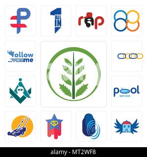 Satz von 13 Einfache editierbare Ikonen wie Farn, Haus mit Flügeln, Fingerabdruck, Superstar, Rasenmäher, Pool Service, Freimaurer, Supply Chain, Follow me c Stock Vektor