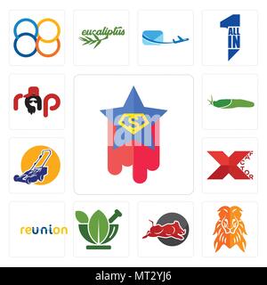 Satz von 13 Einfache editierbare Ikonen wie Superstar, orange Lion, wild Hog, ayurvedische, Reunion, Xfactor, Rasenmäher, Slug, Rap für mobile, w verwendet werden Stock Vektor