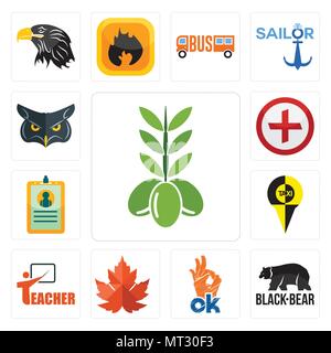 Satz von 13 Einfache editierbare Ikonen wie Olivenöl, schwarzer Bär, ok, Maple Leaf, Lehrer, ID-Karte, Bild von Kreuz, können für mobile verwendet werden, die Web-UI Stock Vektor