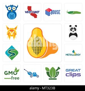 Satz von 13 Einfache editierbare Ikonen wie Papaya, tolle Clips, ayurvedische, Mäher, Gentechnikfreie, Metallurgie, kurvenreiche Straße, panda Maskottchen, Luchs kann verwendet werden für Stock Vektor