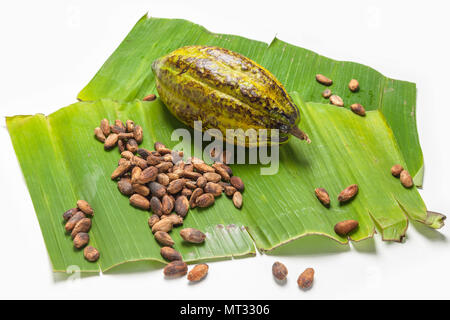 Cabossa und Kakaobohnen auf Bananenblättern Stockfoto