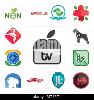 Satz von 13 Einfache editierbare Ikonen wie Apple TV, häusliche Gewalt,, Lowrider, d Zahnarzt, Soja, Ashok Chakra, Schnauzer, Pole Dance kann verwendet werden Stock Vektor