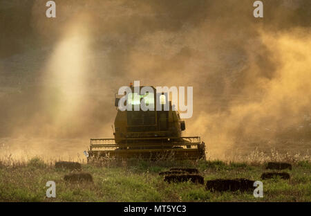 Ein New Holland Mähdrescher arbeiten in einem Feld in der Nähe von Rizokapaza, Nordzypern Stockfoto