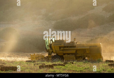 Ein New Holland Mähdrescher arbeiten in einem Feld in der Nähe von Rizokapaza, Nordzypern Stockfoto