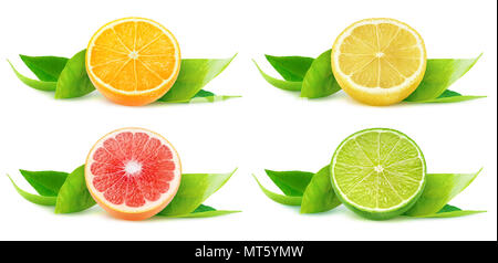 Ansammlung isolierter Zitrusfrüchte. Hälften der Orange, Zitrone, Grapefruit und Limette über Blätter auf weißem Hintergrund mit Freistellungspfad isoliert Stockfoto