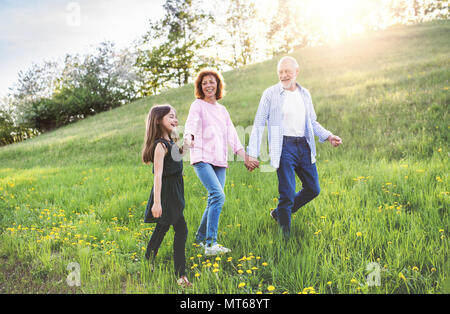 Senior Paar mit Enkelin außerhalb im Frühjahr die Natur, Wandern. Stockfoto
