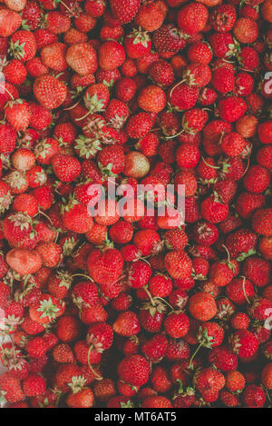 Hintergrund aus frisch geernteten Erdbeeren, direkt oberhalb. Stockfoto