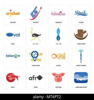 16 Einfache editierbare Ikonen wie Flugzeug vorne, Schwein Gesicht, Afro, Stier, Funkturm, Kricket, oval,, Pen nib für mobile verwendet werden, die Web-UI Stock Vektor