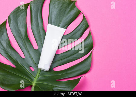 Kosmetische Flasche Container mit grüne pflanzliche Blätter auf rosa Hintergrund Stockfoto