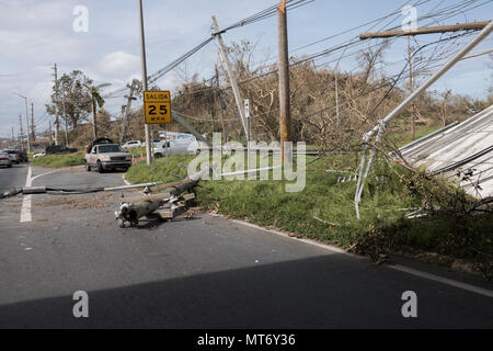 Die Verwüstungen des Hurrikans Maria fegte über die Insel Puerto Rico, 20. September, 2017; verlassen zerstörte Häuser, niedergeworfene Stromleitungen und entwurzelte Vegetation. Die Nationalgarde hat über 1.000 Soldaten auf die Insel bereitgestellt und ist bereit und vorwärts lehnen Soforthilfe Unterstützung für Hurrikan Maria neben anderen Bundes- und Partnern zur Verfügung zu stellen. (U.S. Air Force Foto: Staff Sgt Michelle Y. Alvarez-Rea) Stockfoto