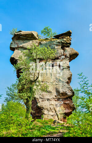 Ruinen der Burg Anebos in den Pfälzer Wald. Deutschland Stockfoto