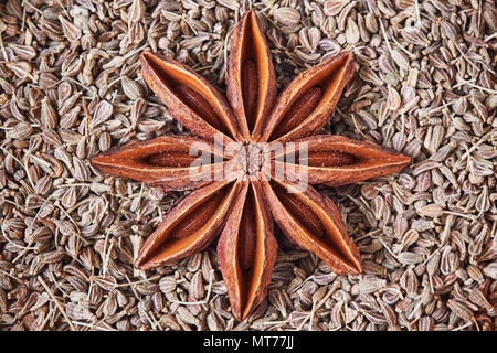 Sternanis (Illicium verum) und Anis Samen, auch bekannt als Anis (Pimpinella anisum). Ansicht von oben Stockfoto