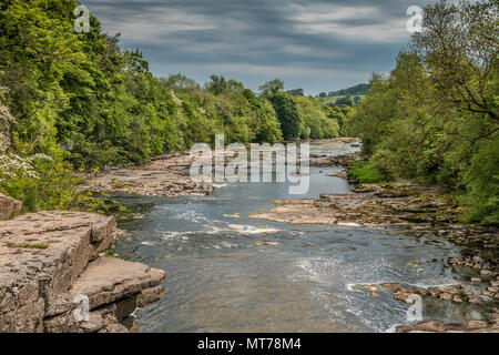 Der Fluß Ure, auf der Suche nach unten fällt, Aysgarth, Wensleydale, Yorkshire Dales National Park, Großbritannien Stockfoto