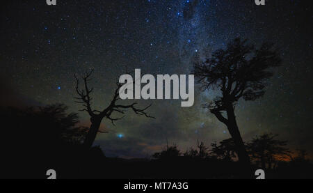 Nacht Landschaft mit Sternenhimmel und Bäume im Nationalpark Los Glaciares. Die argentinische Patagonien im Herbst Stockfoto