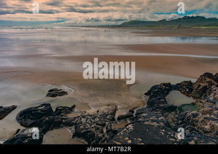 Muriwai Beach, Nordinsel, Neuseeland Stockfoto