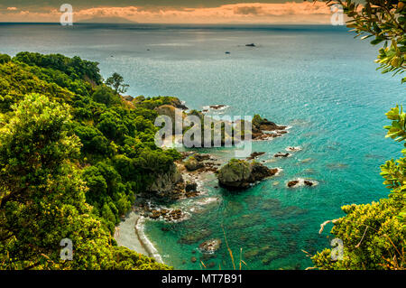 Tiritiri Matangi Island, North Island, Neuseeland Stockfoto