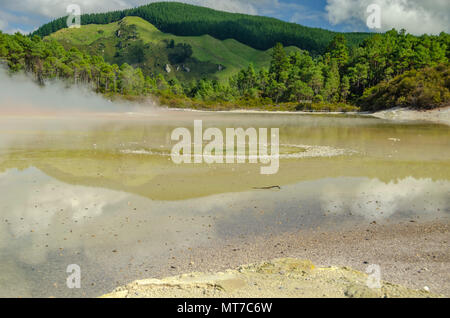 Whakarewarewa geothermal Park, Rotorua, Neuseeland Stockfoto