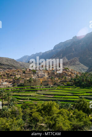 Dorf mit üppigen grünen bewässerten Terrassen, Al Hajar Berge, Bilad Sayt, Oman Stockfoto