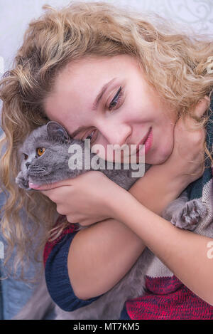 Mädchen mit lockigem Haar ist umarmt einen grauen Schottischen Katze, ein geliebtes Haustier Stockfoto