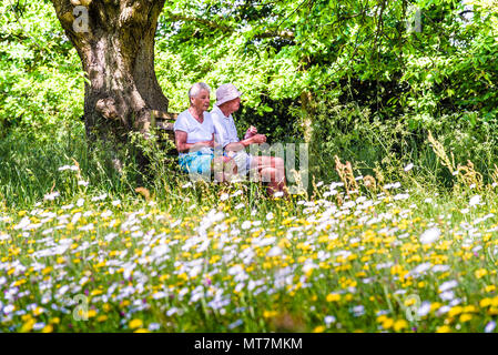 Paar in der Wiese Ländlichen Stockfoto