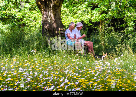 Paar in der Wiese Ländlichen Stockfoto