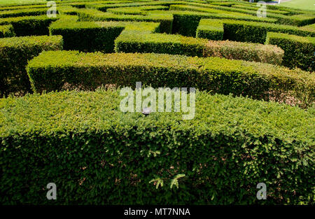 Bergamo: Botanischer Garten Stockfoto