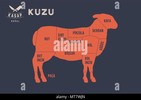 Fleisch schneidet. Plakat Metzger Diagramm - Kuzu Stock Vektor