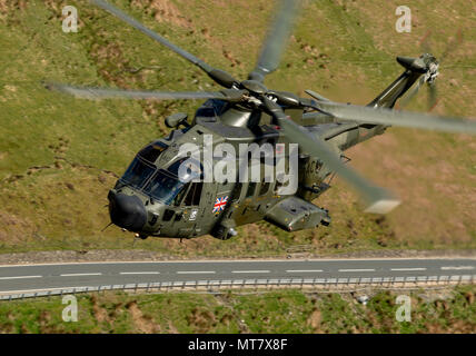 Royal Navy Merlin MK3 eine Commando Hubschrauber von RNAS Yeovilton, flying low level in der Mach Loop Stockfoto