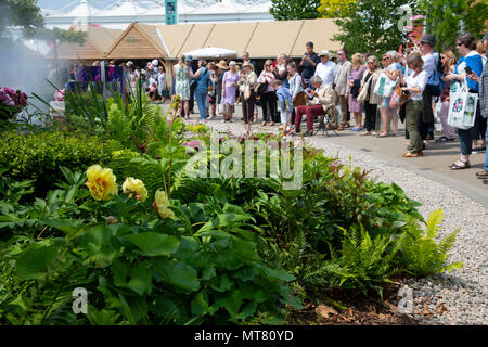 Die Besucher der Chelsea Flower Show rund um die Wuhan Wasser Garten von Laurie Chetwood und Patrick Collins an der RHS Chelsea Flower Show 2018 entwickelt. Stockfoto