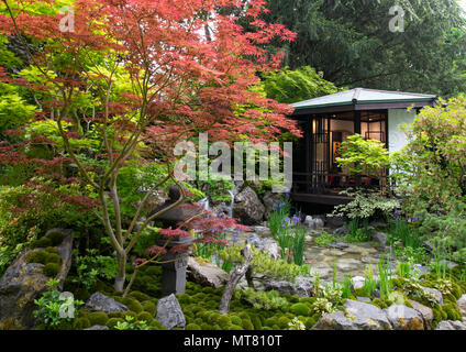 O-Mo-te-na-shi no NIWA - die Gastfreundschaft Garten, einem traditionellen japanischen Design mit einem Garten Haus surrouned von Acer Bäume von Ishihara K konzipiert Stockfoto