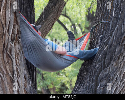 Mann in einer Hängematte in McPhelemy Park ruhenden, Buena Vista CO Stockfoto