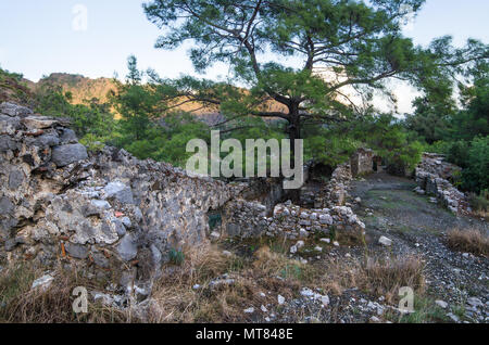 Die Ruinen der Tempel in Chimera in der Nähe von Cirali (Türkei), von einem subtropischen Wald umgeben Stockfoto