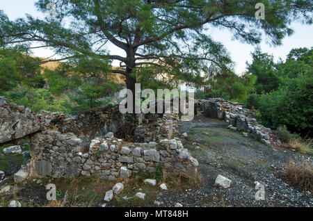 Die Ruinen der Tempel in Chimera in der Nähe von Cirali (Türkei), von einem subtropischen Wald umgeben Stockfoto