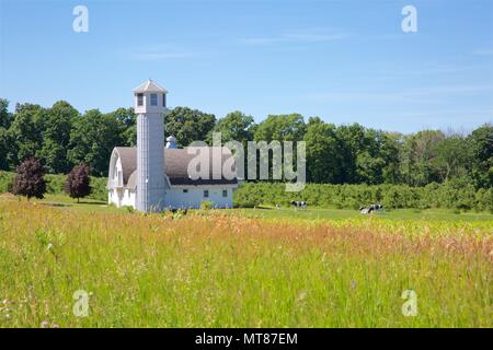 Iconic ländlichen Szenen von Midwest USA Bauernhof Landschaften. Stockfoto