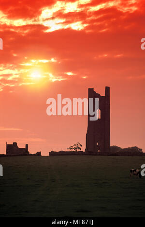 1990 historische gelb Kirchturm St. Mary'S Augustiner-abtei RUINEN VERKLEIDUNG County Meath Irland Stockfoto
