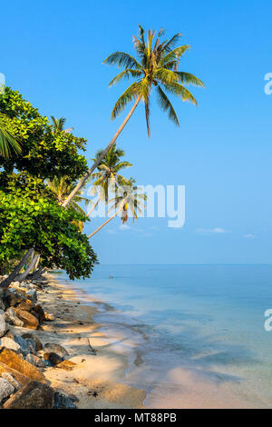 Morgen auf der Insel Koh Samui Stockfoto