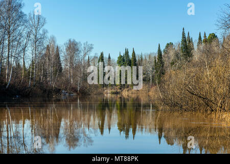 Frühling in Sibirien Stockfoto